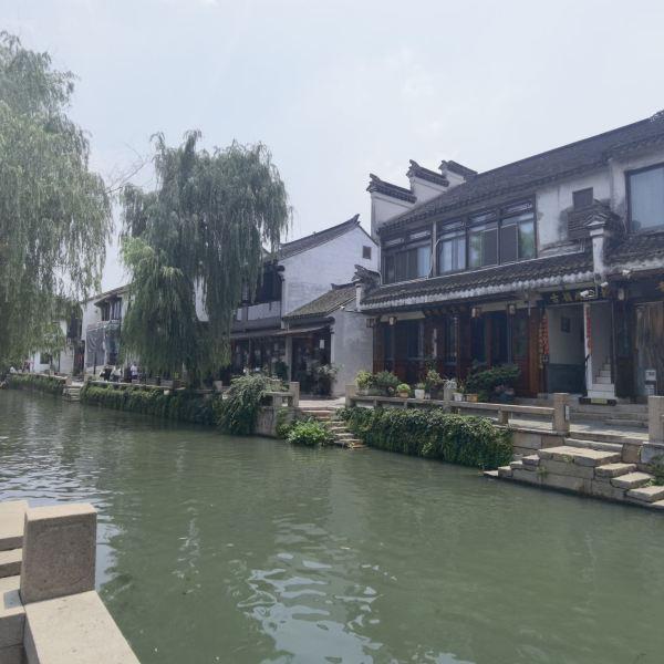 小猫钓鱼游戏龙王版有船